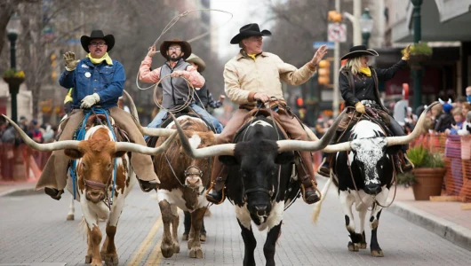 San Antonio Rodeo